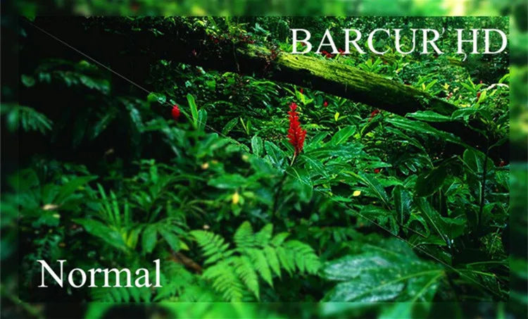 Aviator Frame Shades