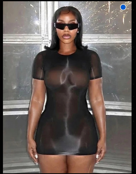 Sheer Mesh Short Sleeve Bodycon Mini Dress, product view 4 - Rose in Concrete