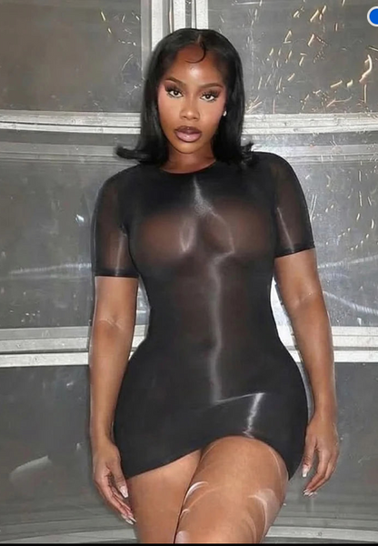 Sheer Mesh Short Sleeve Bodycon Mini Dress, product view 2 - Rose in Concrete