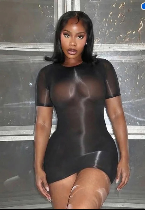 Sheer Mesh Short Sleeve Bodycon Mini Dress, product view 2 - Rose in Concrete